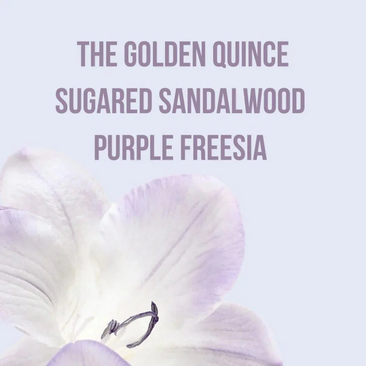 CREMA CORPORAL CON FRAGANCIA - BEAUTY CREATIONS