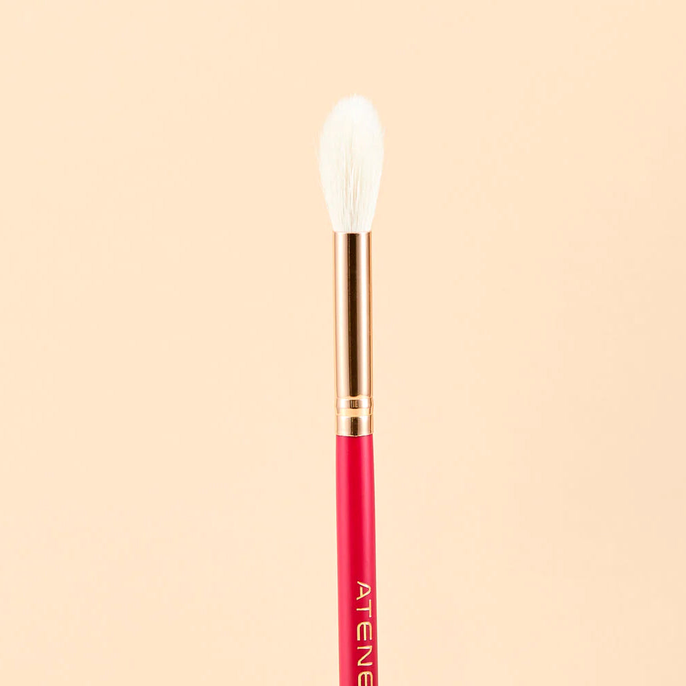 SET DE BROCHAS ATENEA SCARLET 9 PZAS